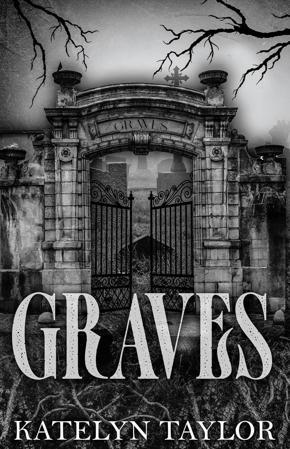 Graves - by Katelyn Taylor (Paperback)